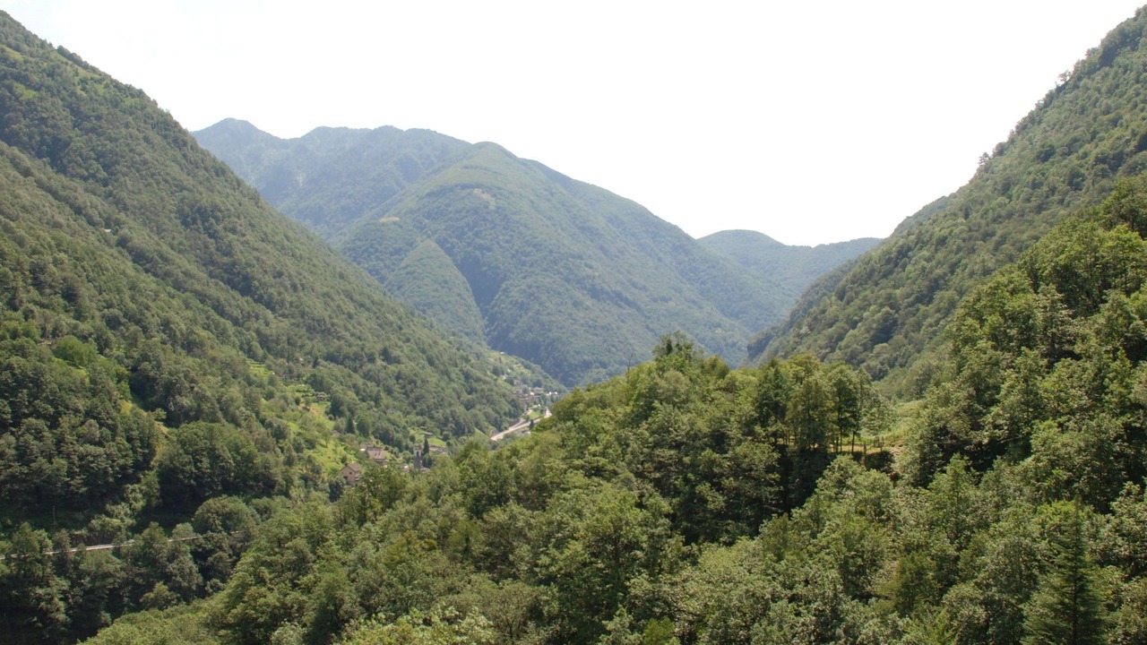 Photo of Others in Brione