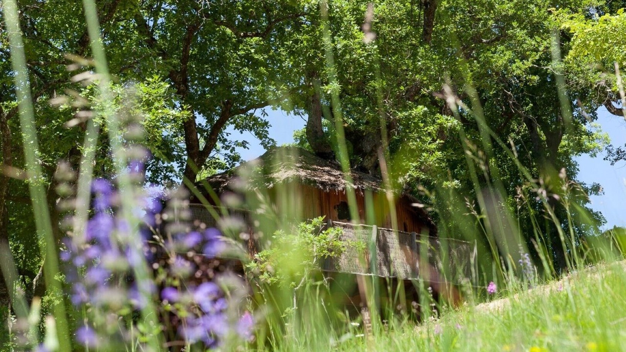 Photo of Outdoor in Pons