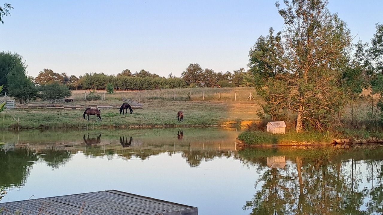 Photo of Others in Sadirac