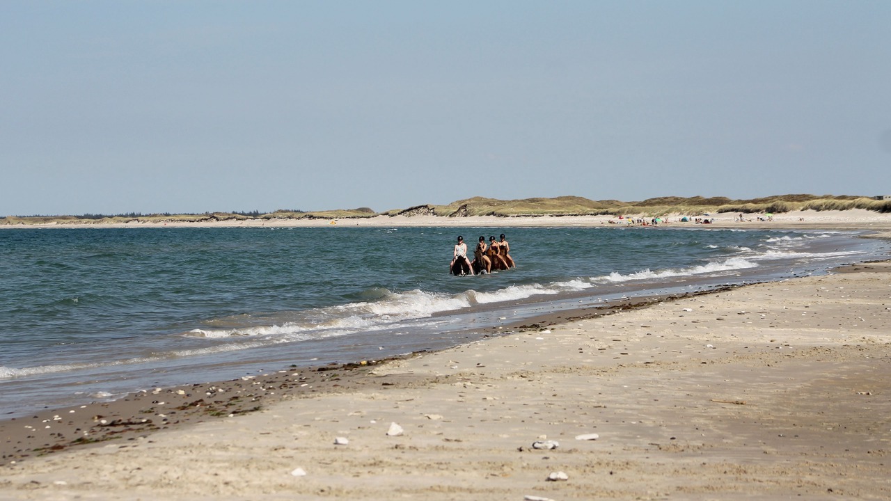 Photo of Others in Hanstholm