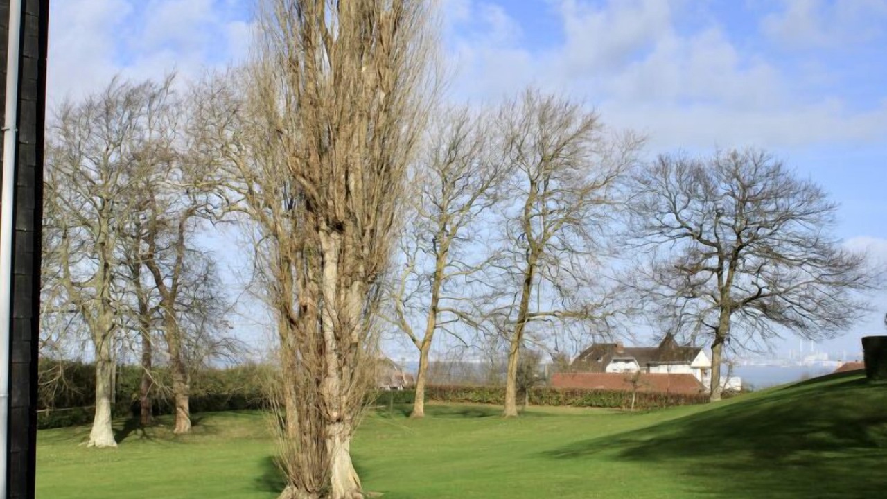 Photo of Others in Trouville-sur-Mer