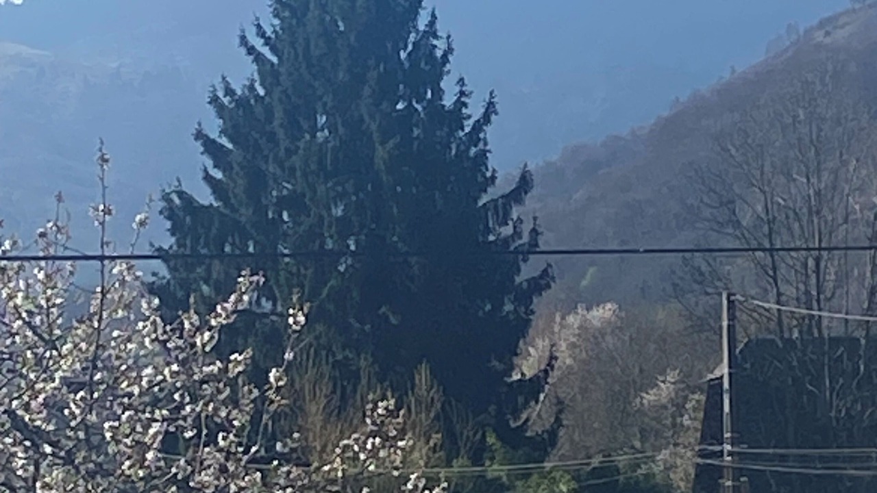 Photo of Others in Gerde