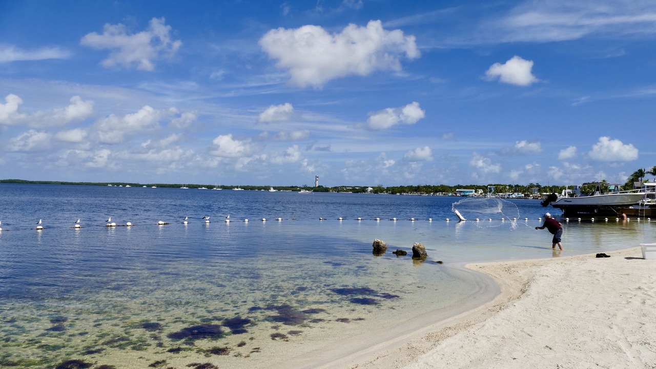 Photo of Others in Key Largo