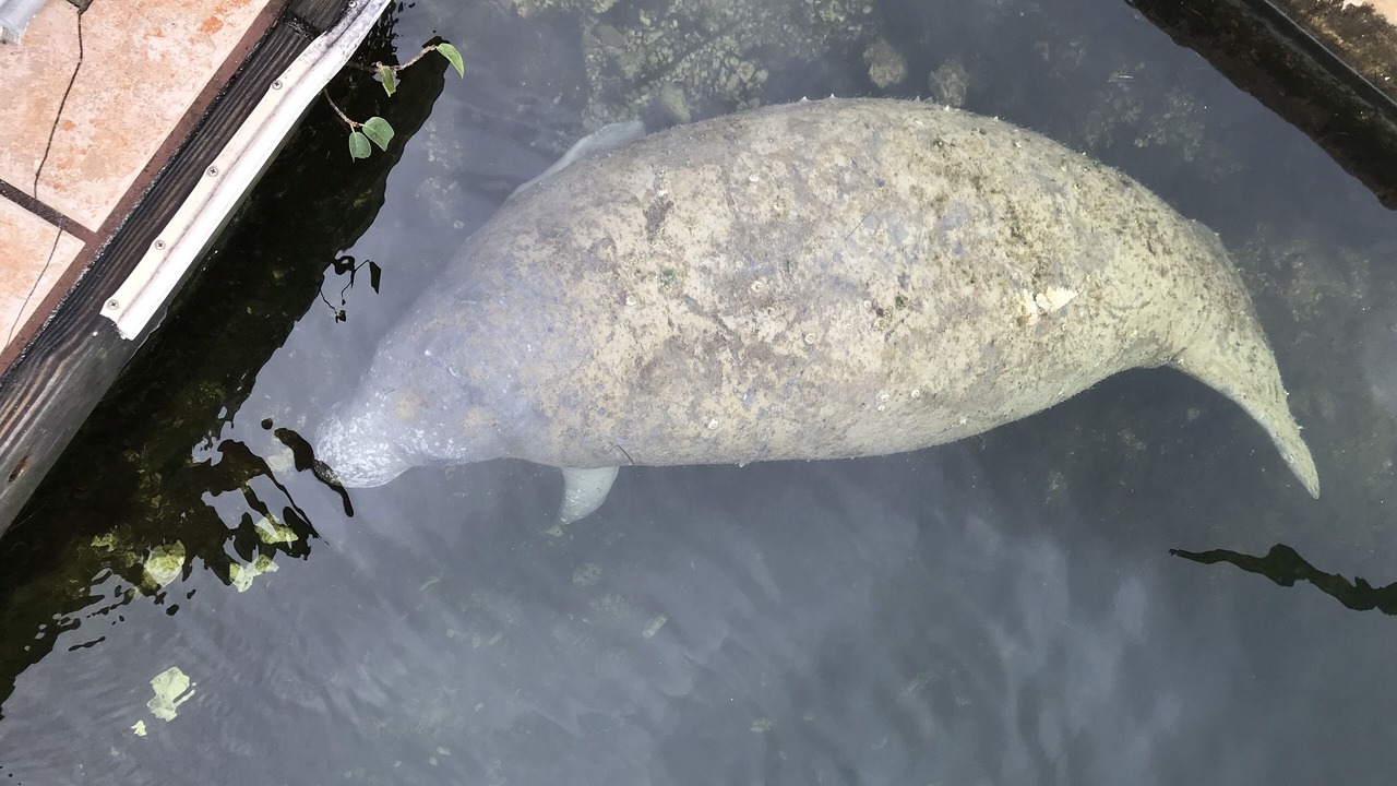 Photo of Outdoor in Key Largo