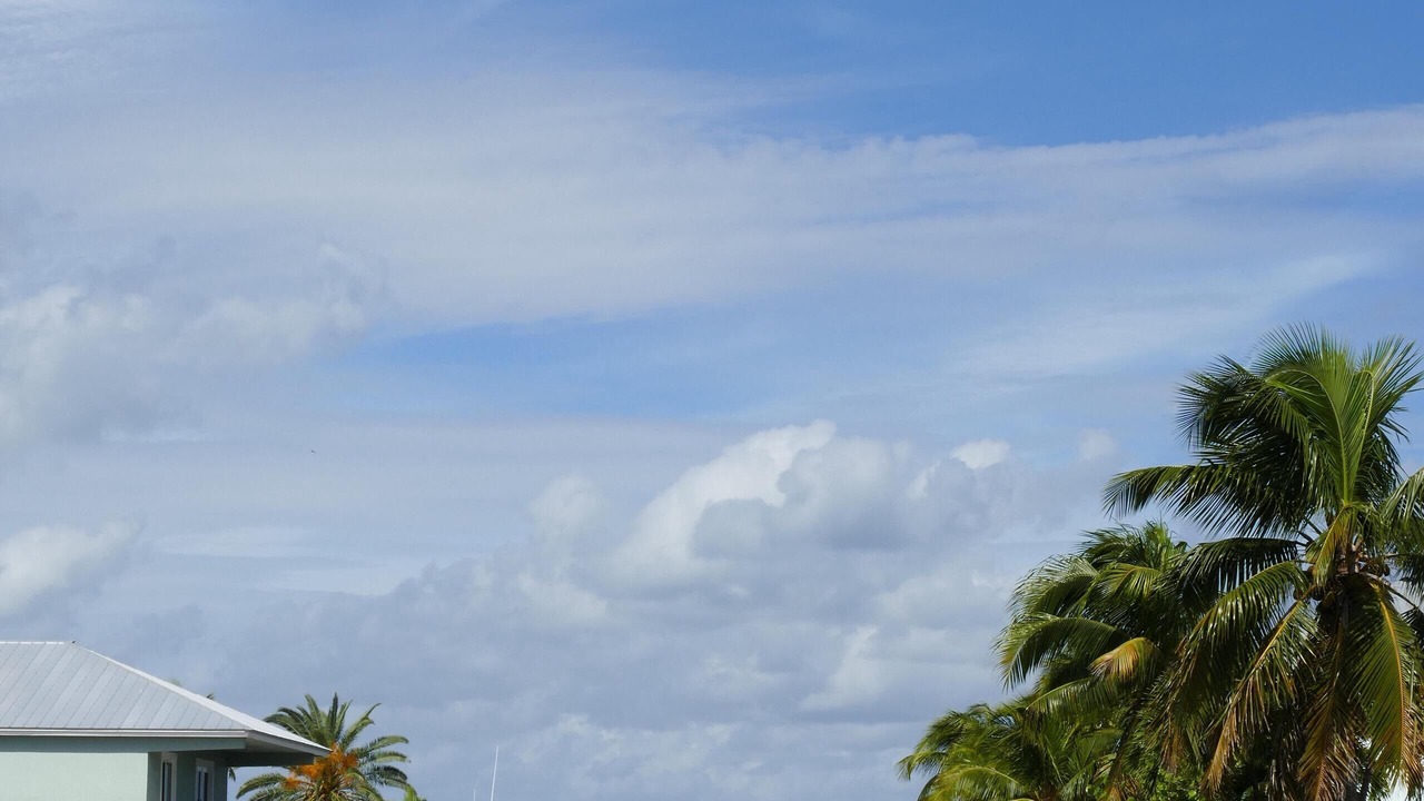 Photo of Others in Key Largo