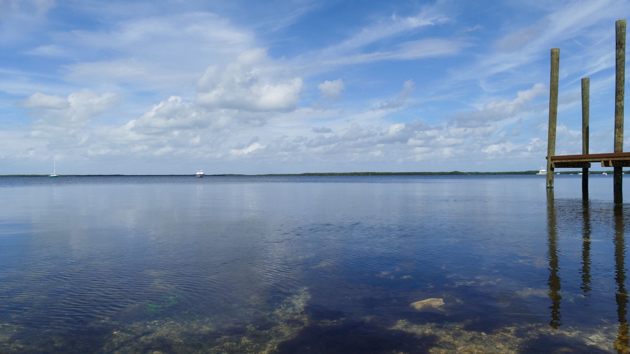 Photo of Others in Key Largo