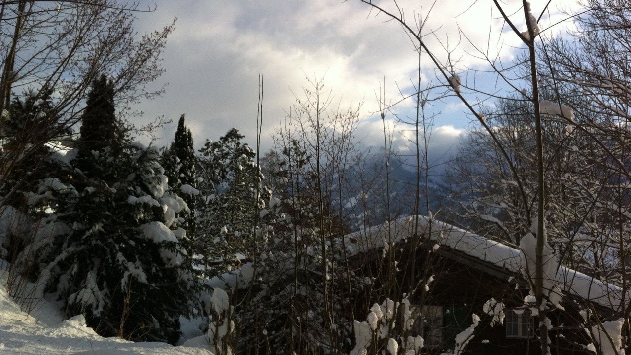 Photo of Others in Lenk