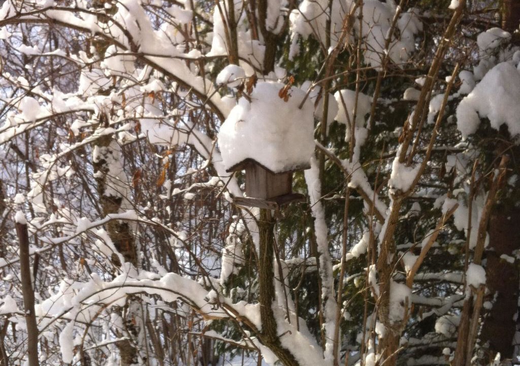 Photo of Outdoor in Lenk