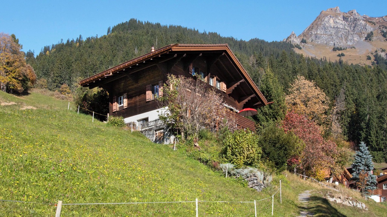 Photo of Others in Wengen