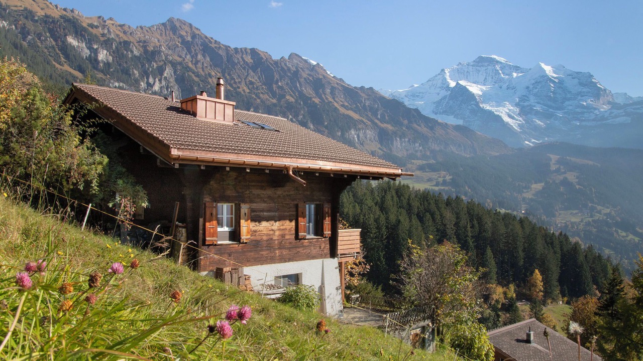 Photo of Others in Wengen