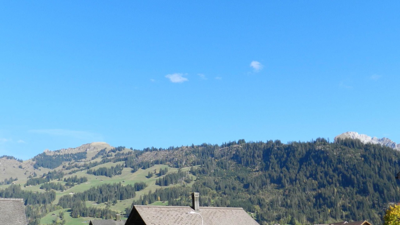 Photo of Others in Zweisimmen