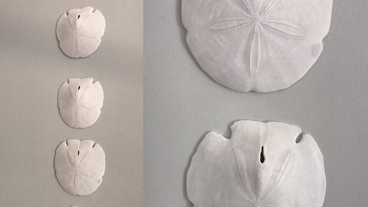 Photo of Others in Earlsferry