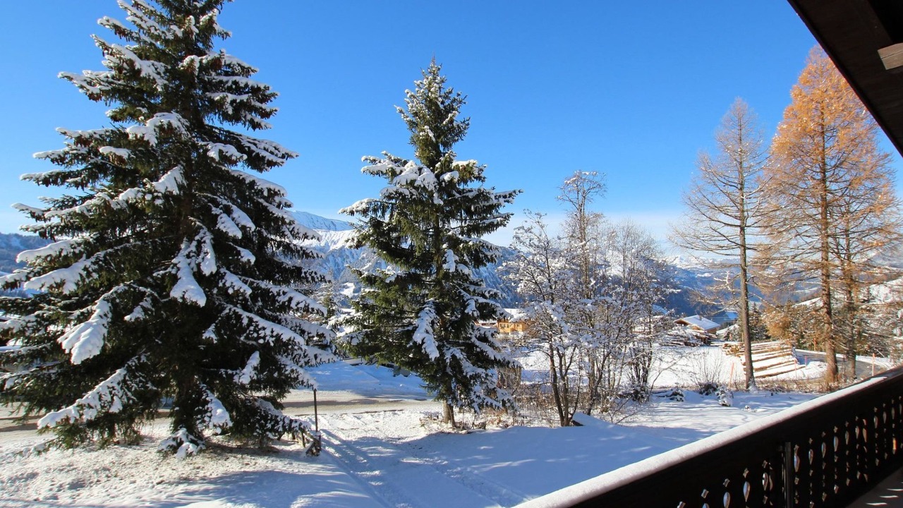 Photo of Others in Lenk