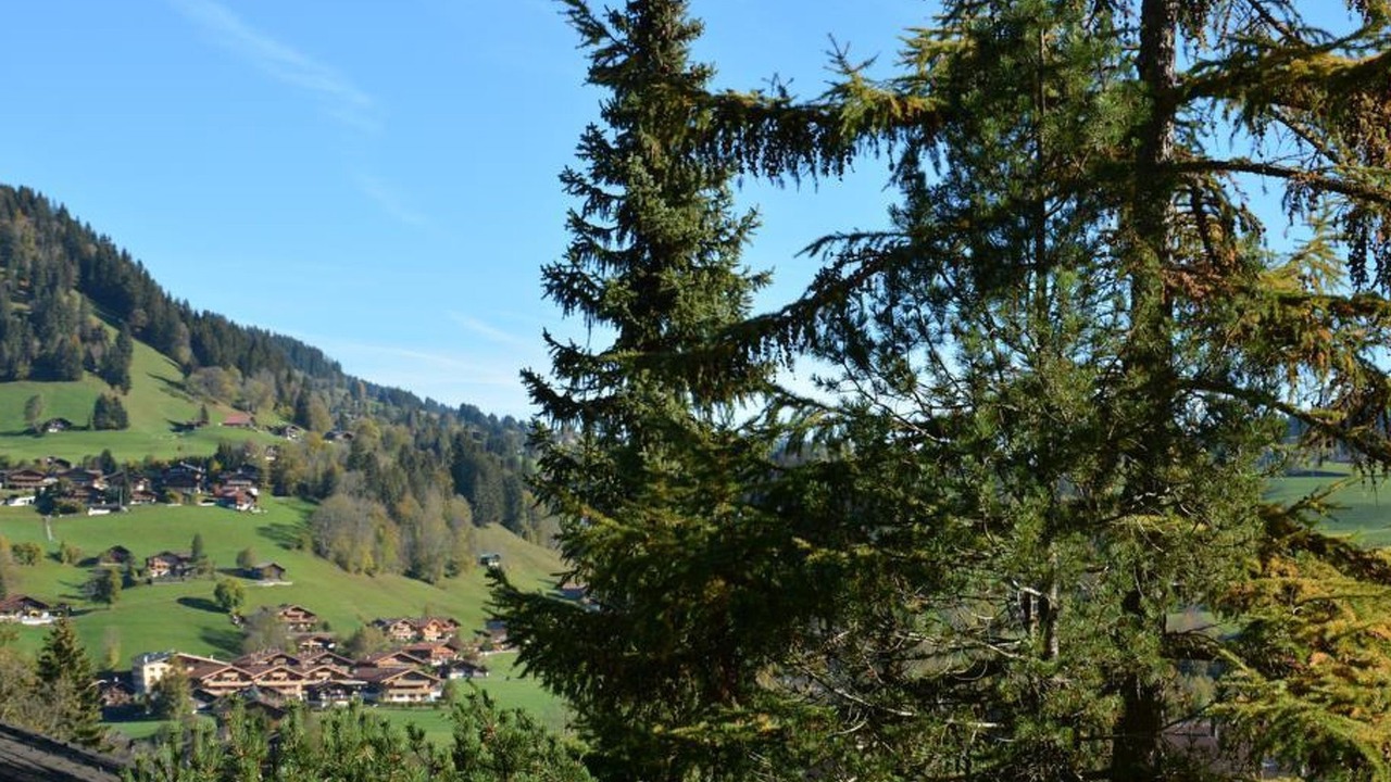 Photo of Outdoor in Saanen