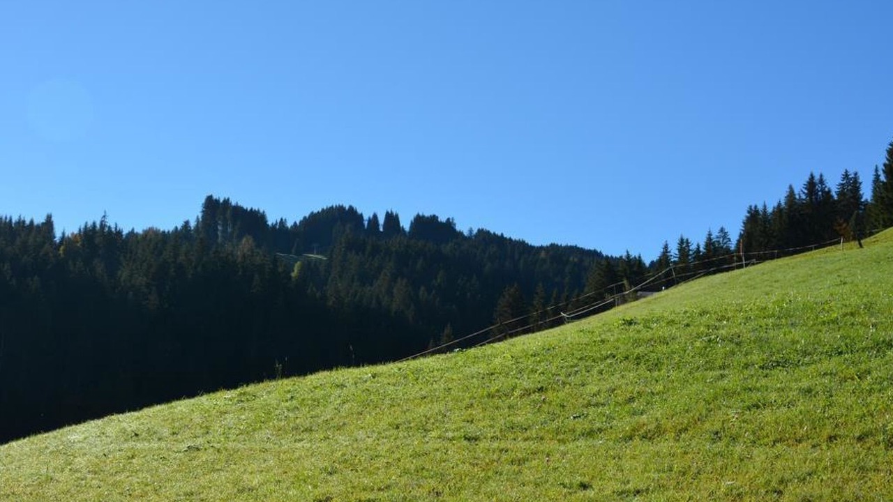 Photo of Outdoor in Saanen
