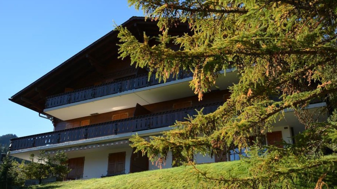 Photo of Outdoor in Saanen