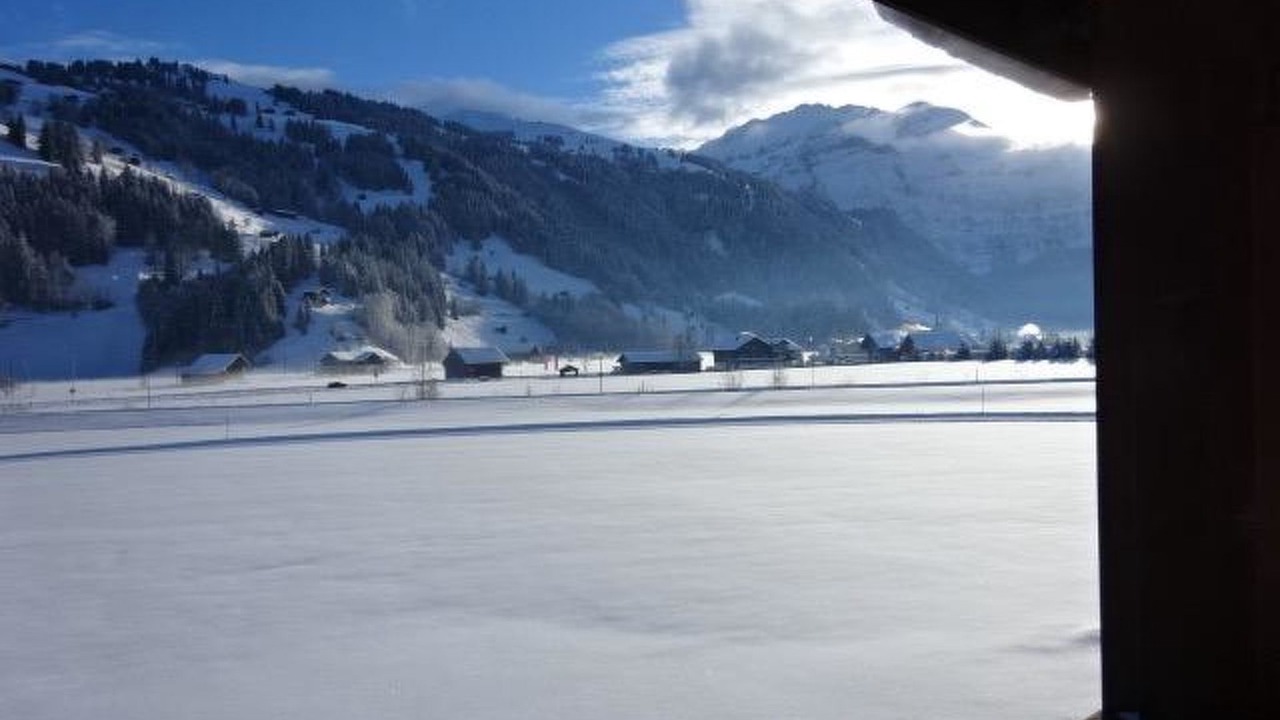 Photo of Others in Lenk