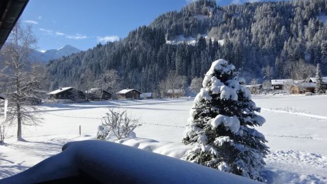 Photo of Others in Lenk