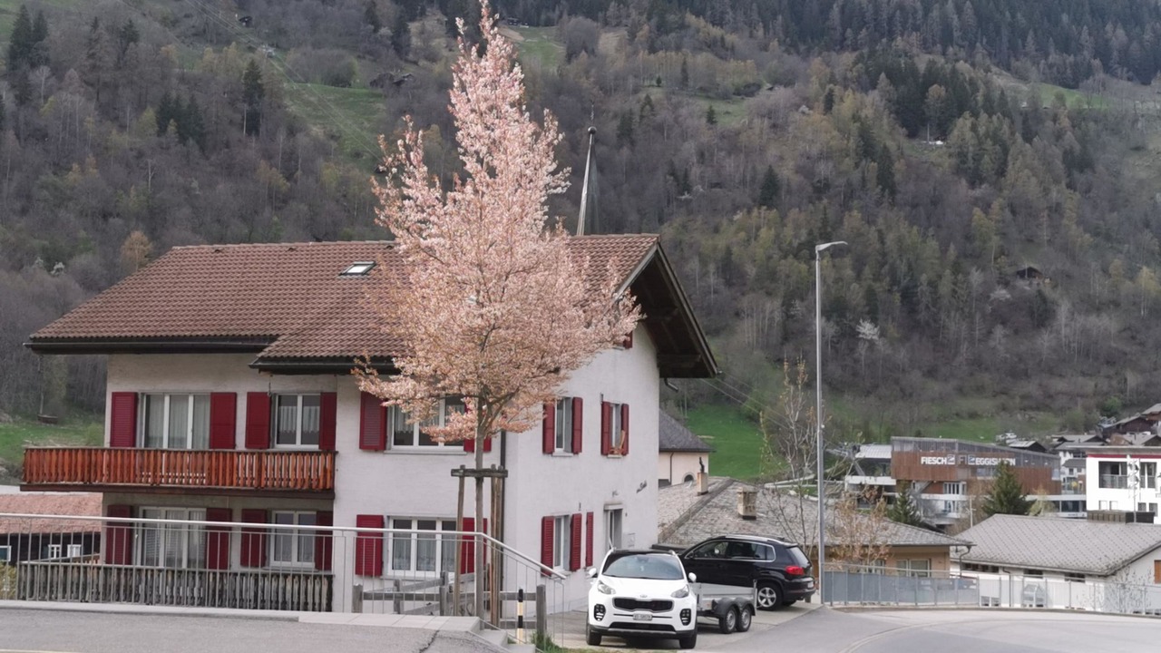 Photo of Outdoor in Fiesch