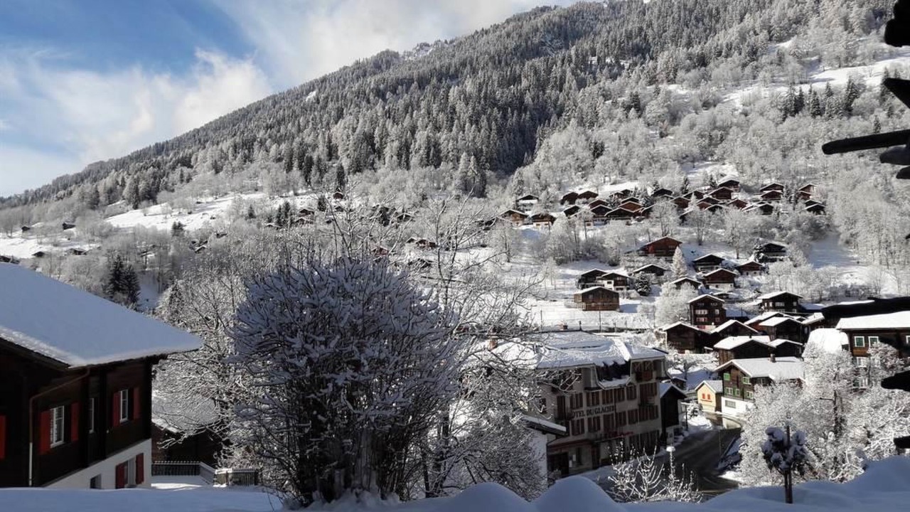 Photo of Others in Fiesch
