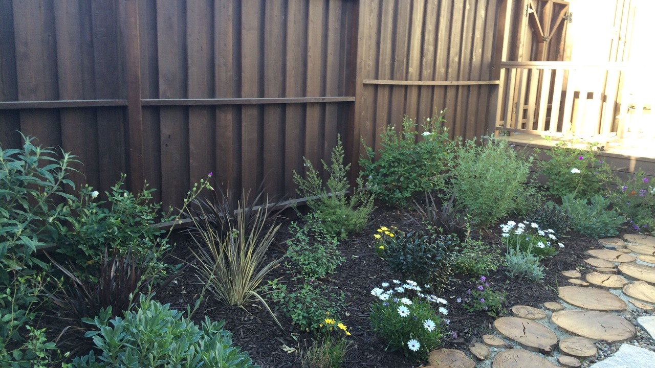 Photo of Outdoor in Lake Balboa