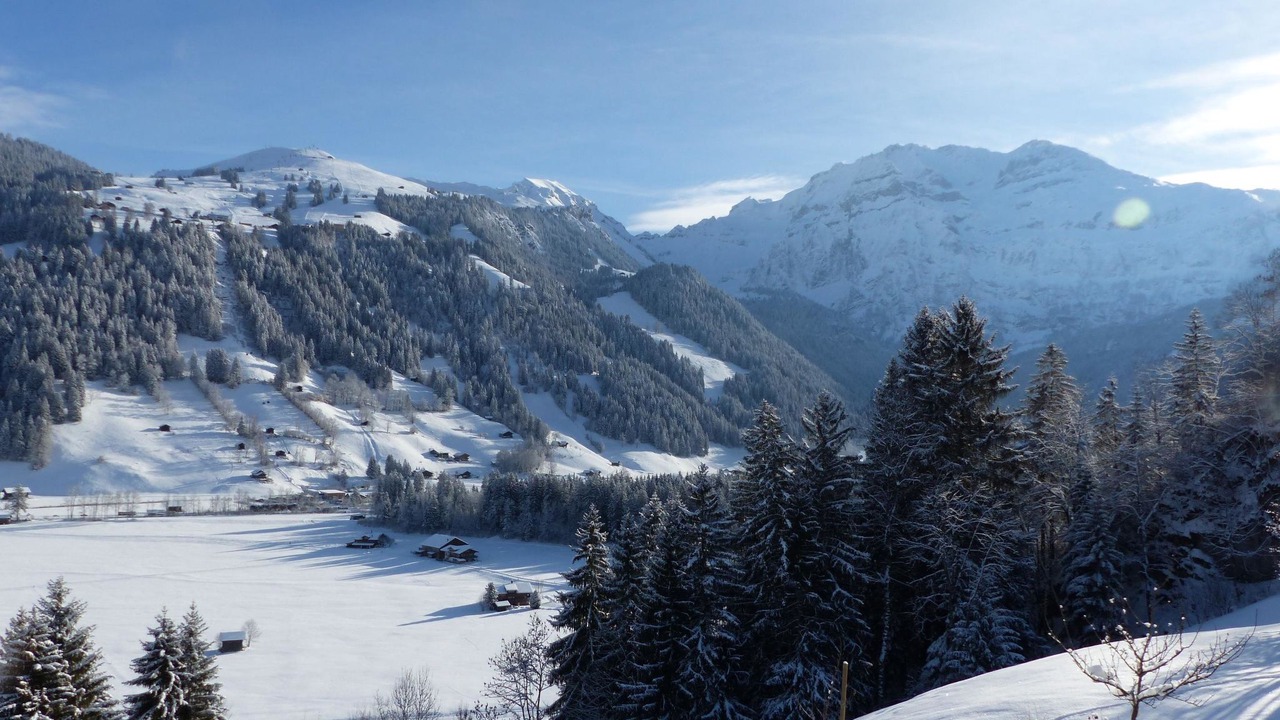 Photo of Others in Lenk