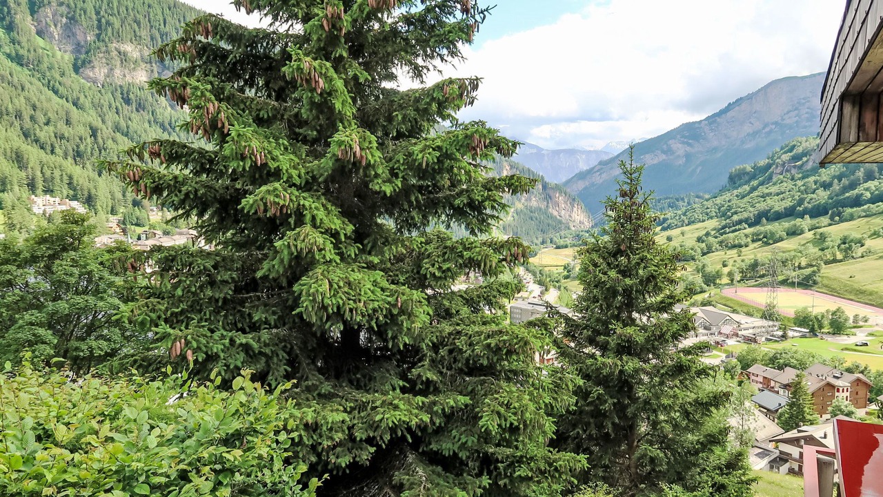 Photo of Others in Leukerbad