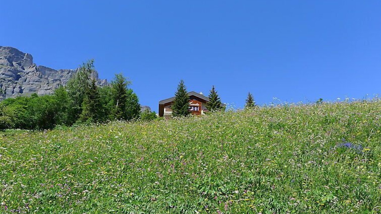 Photo of Others in Leukerbad