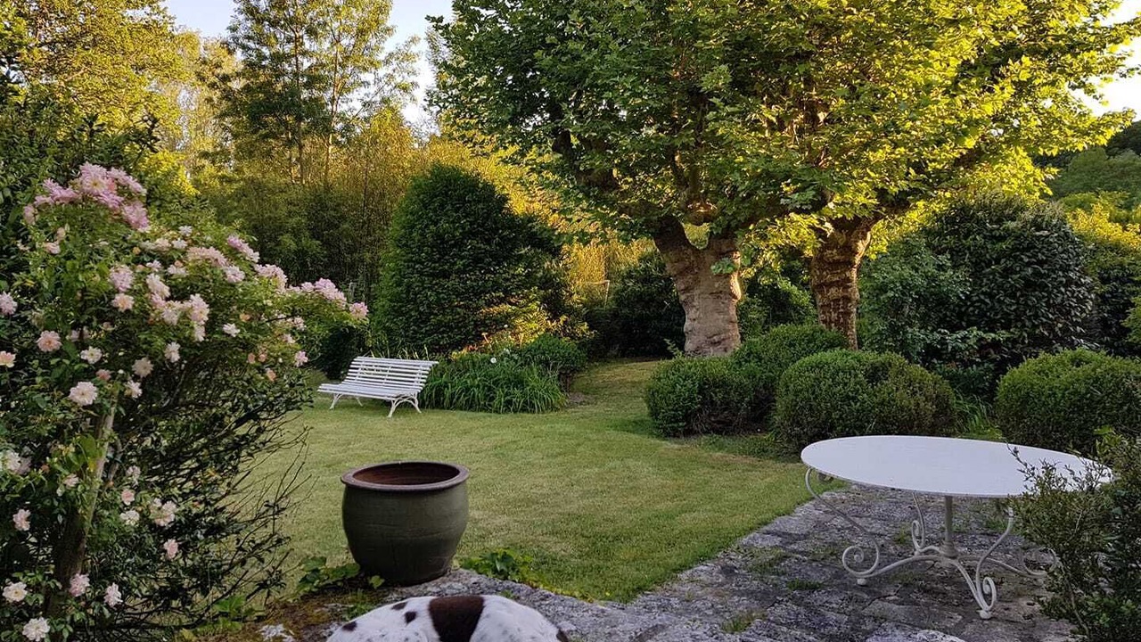 Photo of Outdoor in Huisseau-sur-Cosson
