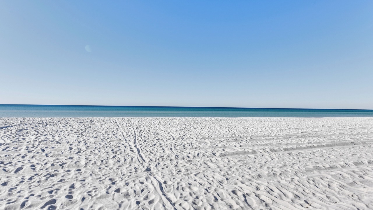 Photo of Others in Bel Air