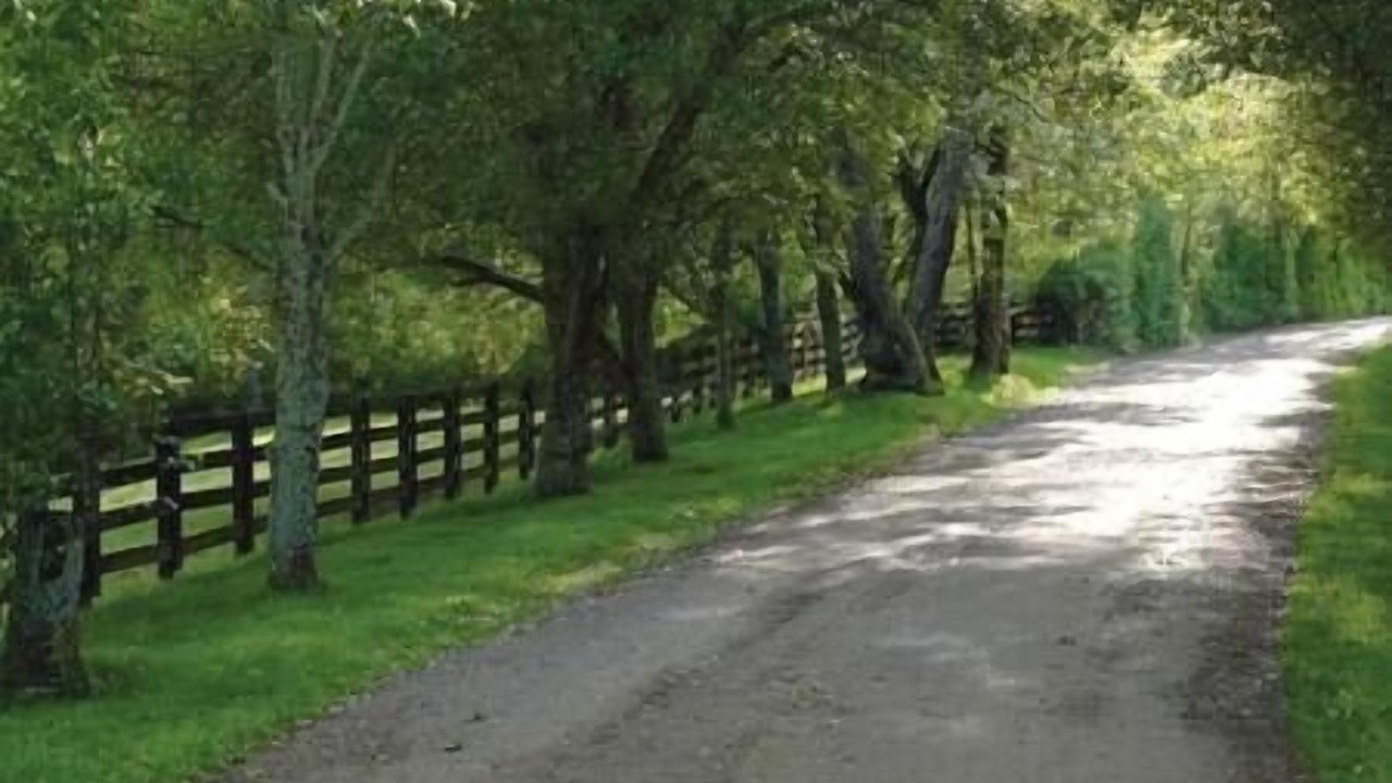 Photo of Outdoor in Franklin