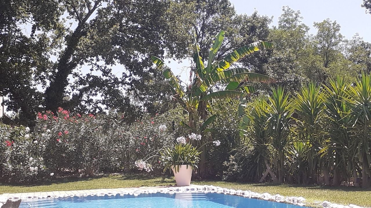 Photo of Outdoor in Sommieres