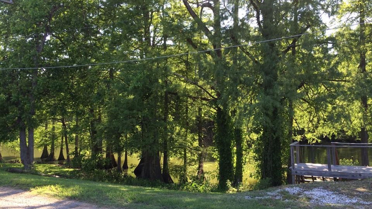 Photo of Outdoor in Lake Providence