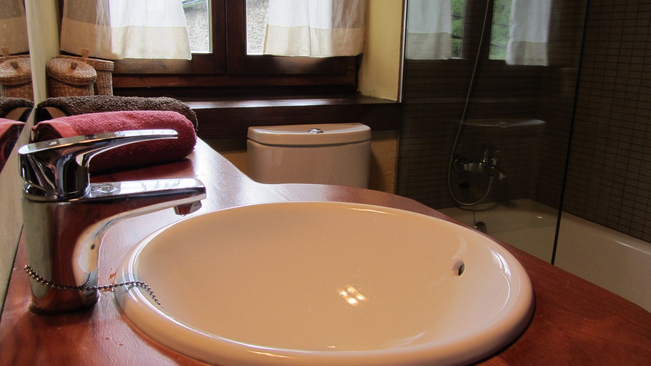 Photo of Bathroom in Las Bordas