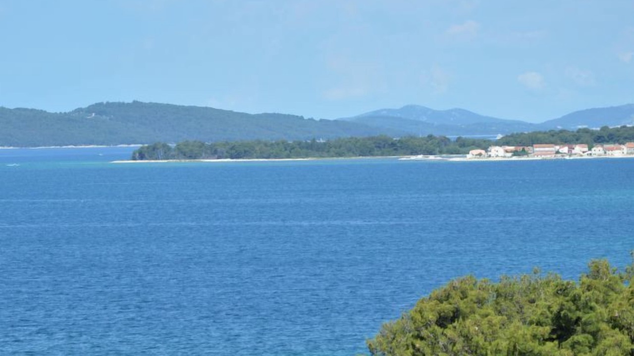 Photo of Others in Zaboric