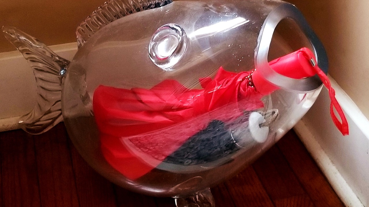 Photo of Others in Hope Gardens
