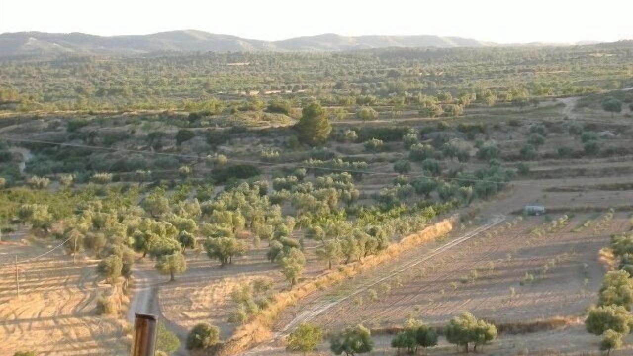 Photo of Outdoor in La Codonera