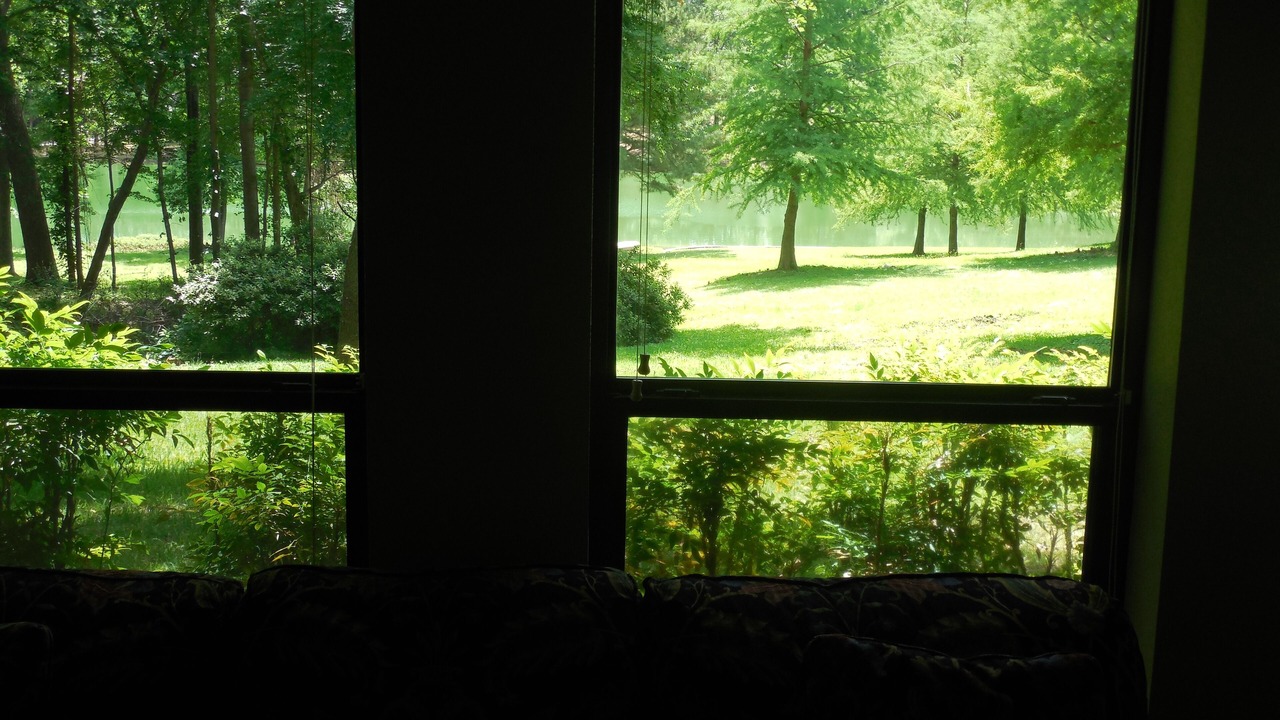 Photo of Outdoor in Mineola