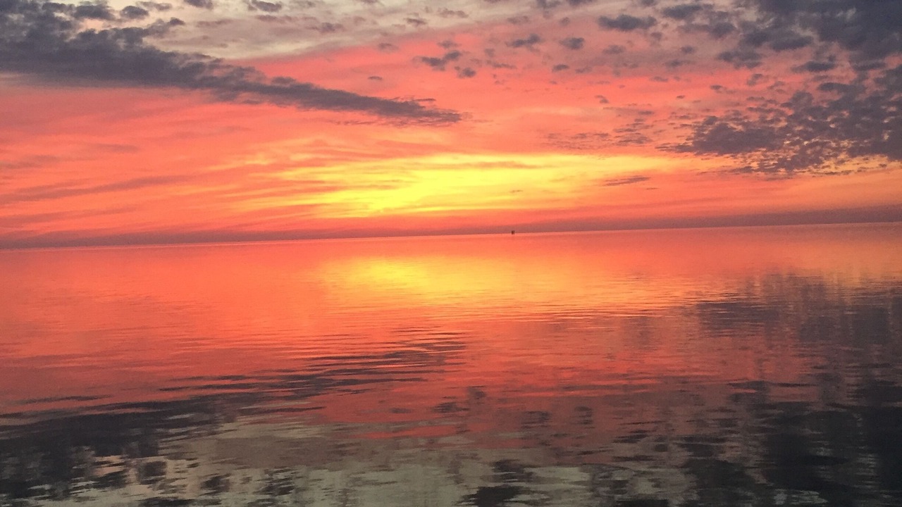Photo of Others in Port O Connor