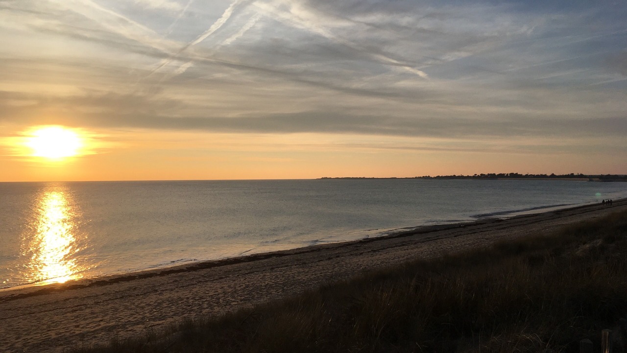Photo of Others in La Couarde-sur-Mer