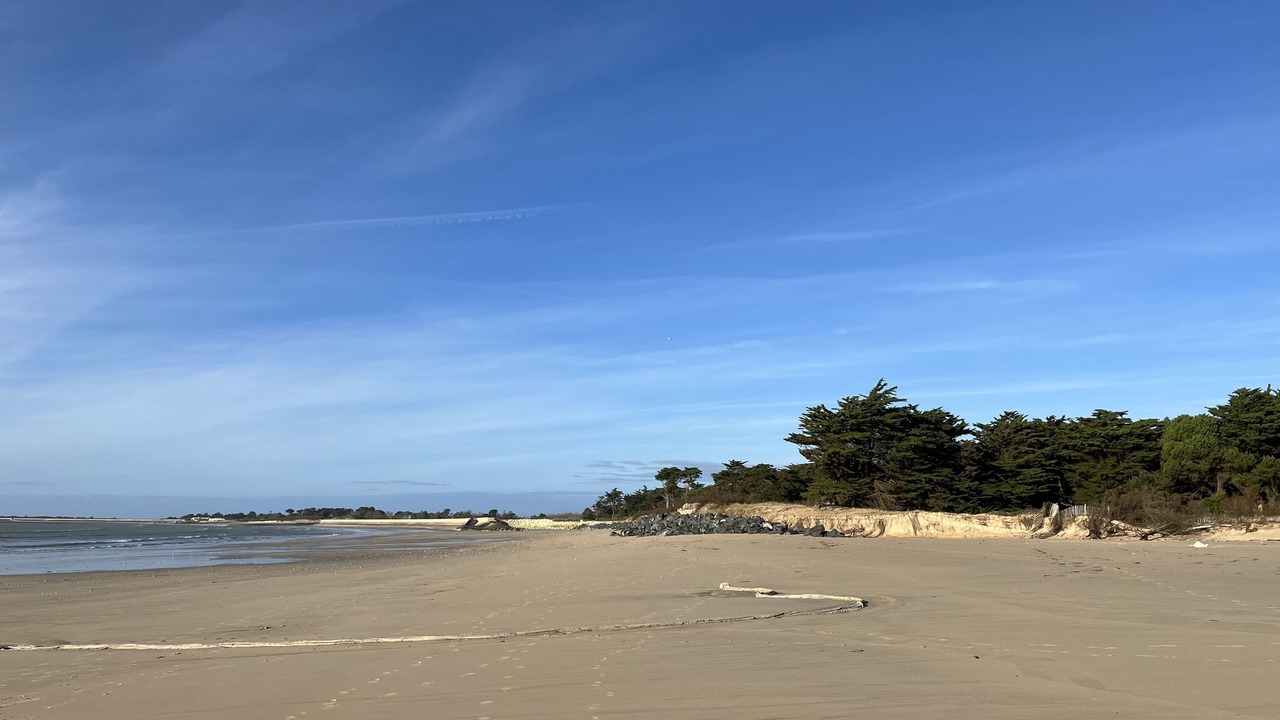 Photo of Others in La Couarde-sur-Mer