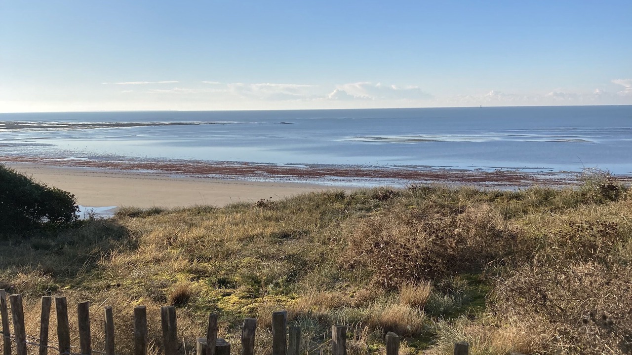 Photo of Others in La Couarde-sur-Mer