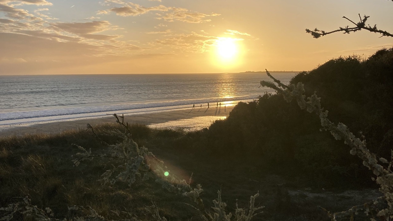 Photo of Others in La Couarde-sur-Mer