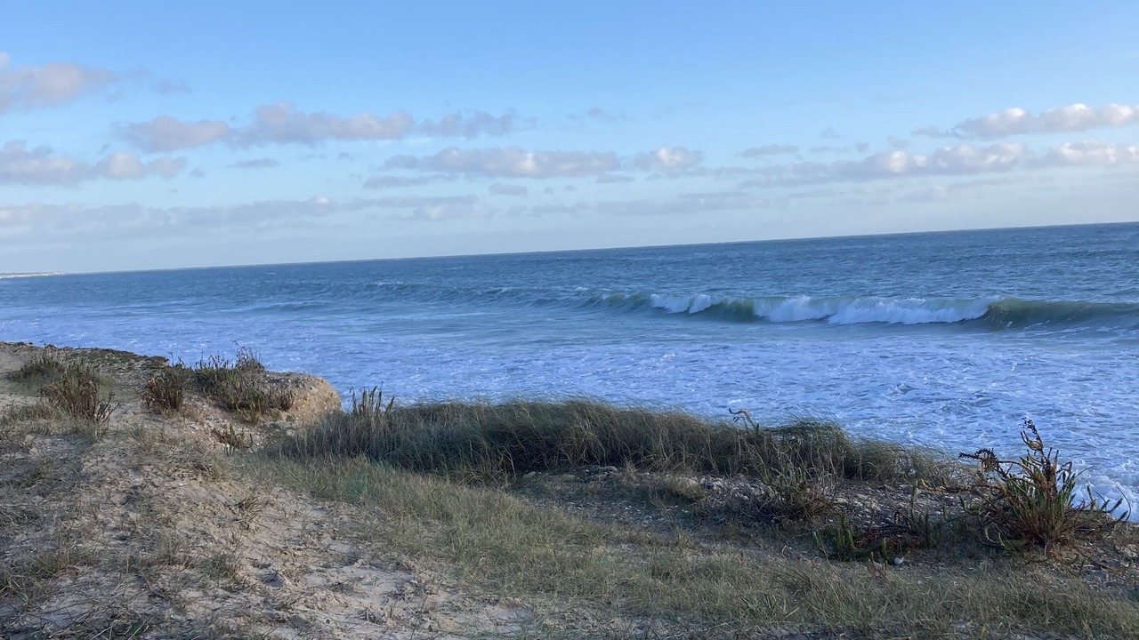 Photo of Others in La Couarde-sur-Mer