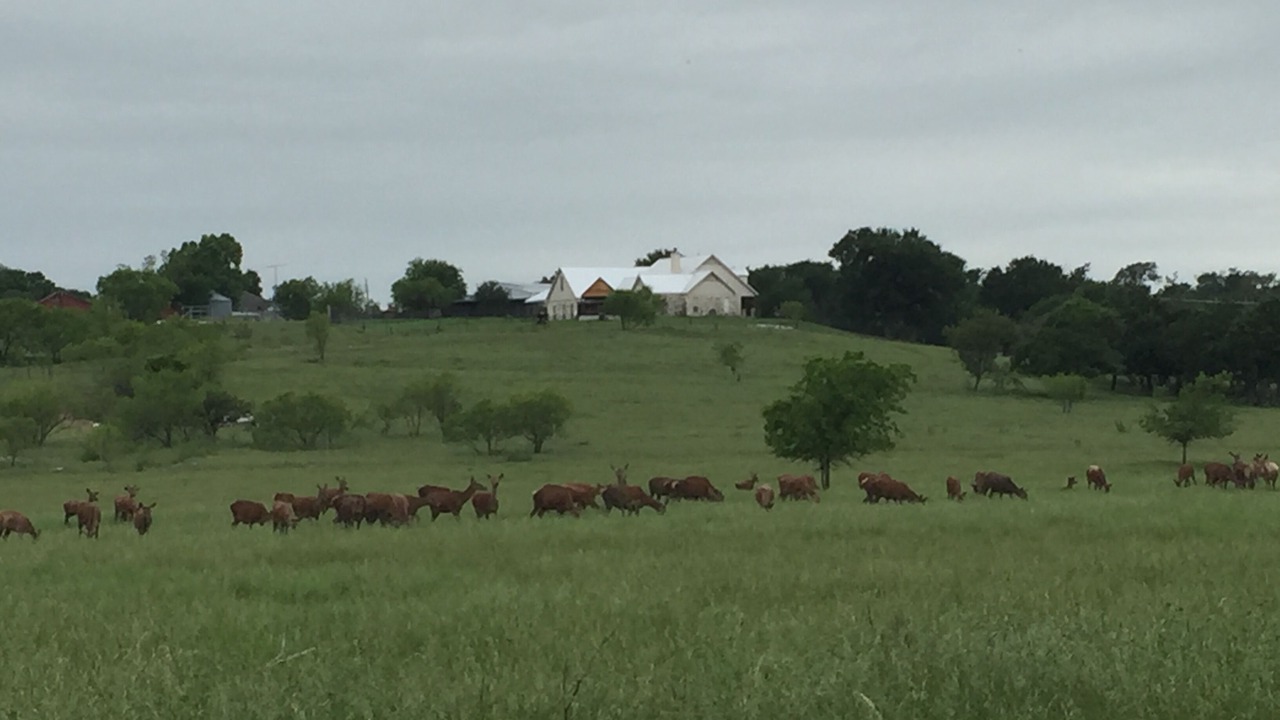 Photo of Others in Lorena