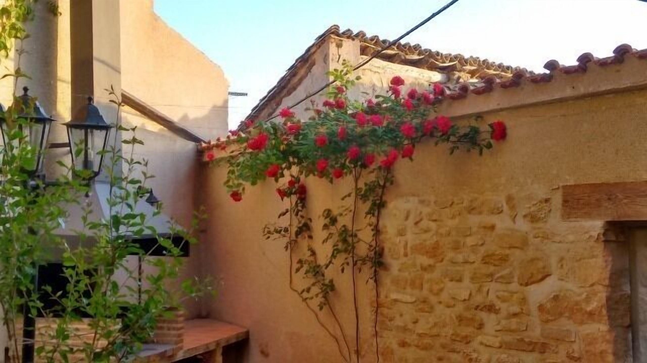 Photo of Outdoor in La Codonera