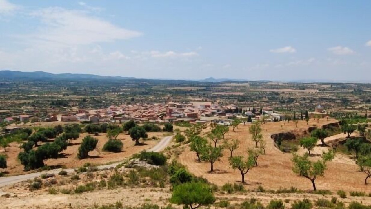 Photo of Others in La Codonera