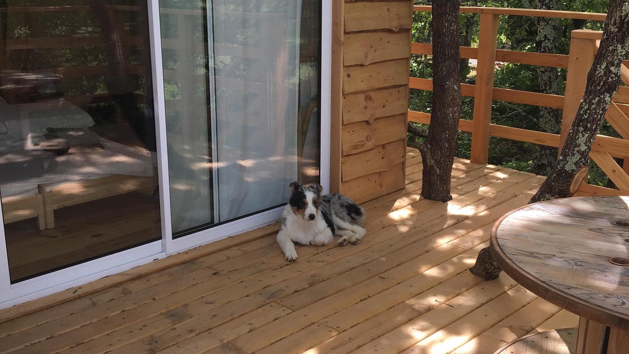 Photo of Patio Balcony in Les Assions