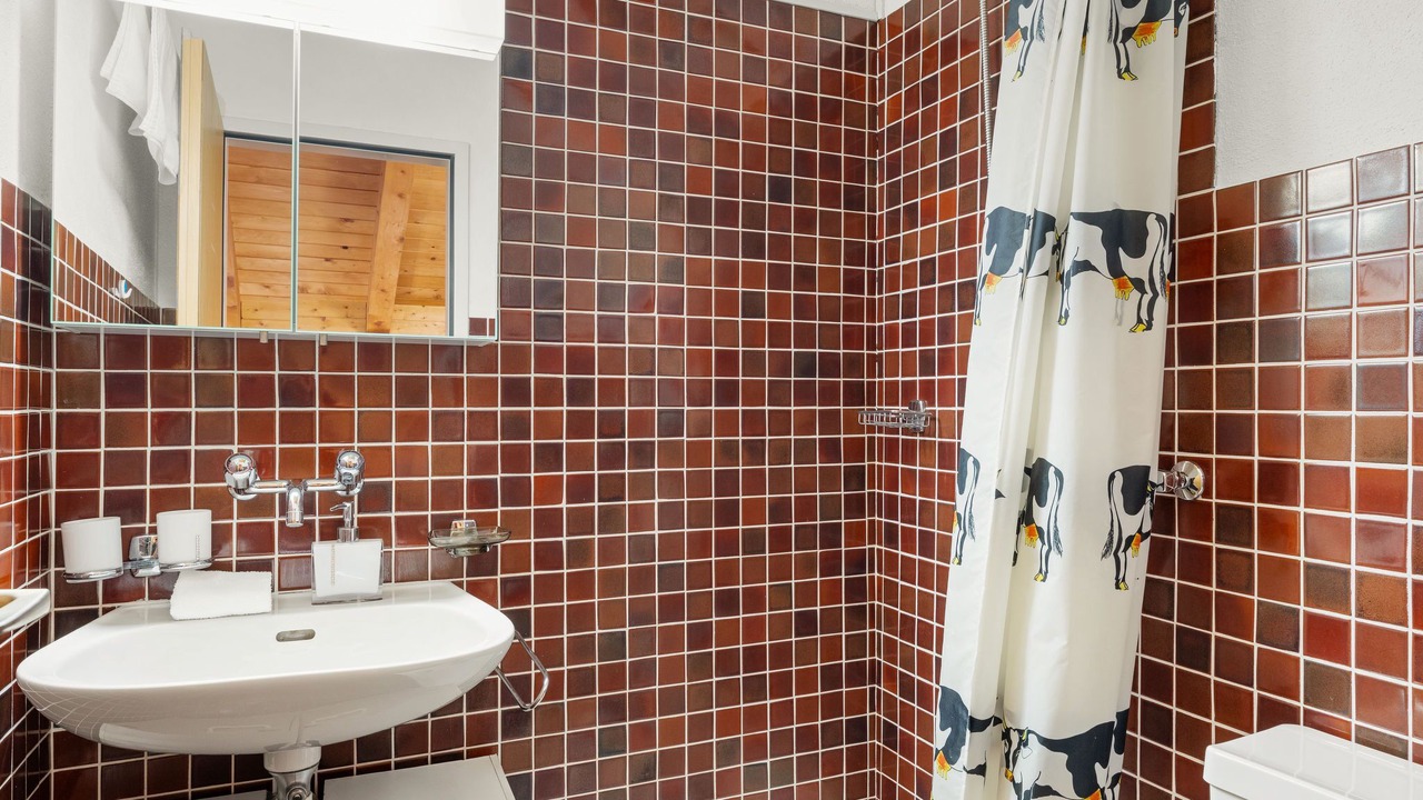 Photo of Bathroom in Ernen