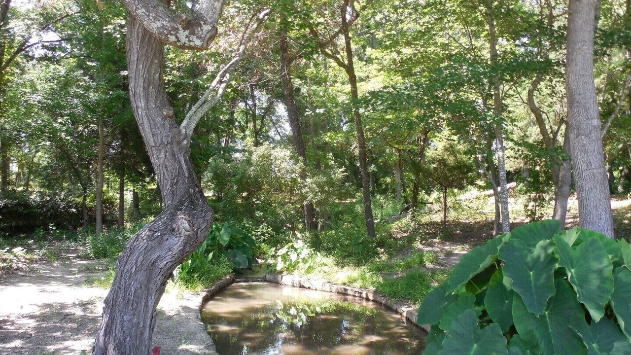 Photo of Outdoor in Mineola